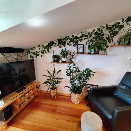 Apartment Smile *
